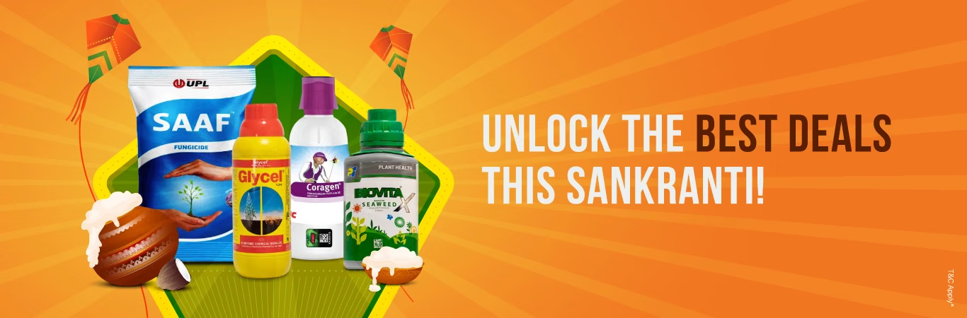 Officiis ea est prov